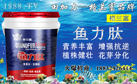 ���䌦(du��)�B(y��ng)���������c(di��n)����Щ������ʩ���`�^(q��)�����_ʩ�ʷ�����