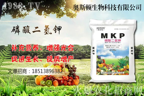 �Ă�(g��)Ʒ�N�����Ӹ��ó����҇����Ӯa(ch��n)�ؼ�Ʒ�N����Щ��