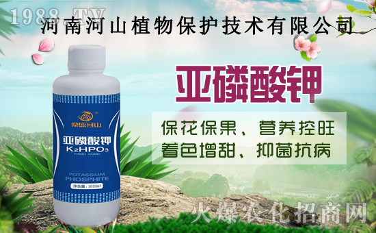 С�����߼Ӵa�������u�Z��2020��8��14��С���r(ji��)�����飡