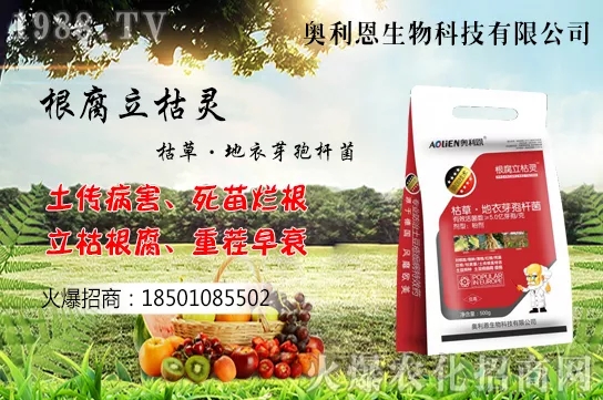 �S����ʲô����(ji��)�������S���˷Nֲ������B��