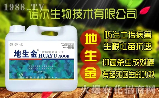 �S���˷N����ô�ɼ����S���˷N��r(ji��)������Xһ����