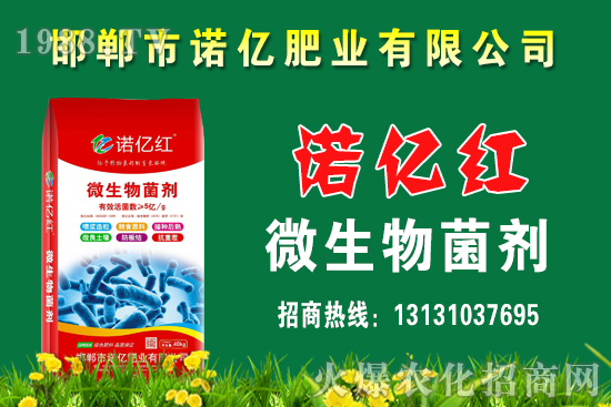 ������ʵķN�����Щ����������c��Щ���ϴ�nЧ���ã�