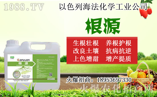 �o(w��)������ôǤ�����o(w��)����Ǥ��r(sh��)�g��Ǥ�己ֳ������