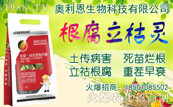 ���[���ʩ�ʣ����[�Nֲ���������N�r(sh��)�g��