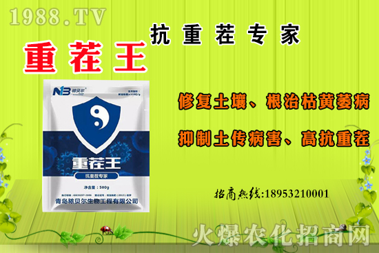 ɽ��ʲô����(ji��)������ɽ�����Ҫ�a(ch��n)���������ôʳ����