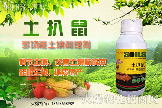 ������ʲô�r��Nֲ����������ô�x���Nֲ�����ô����