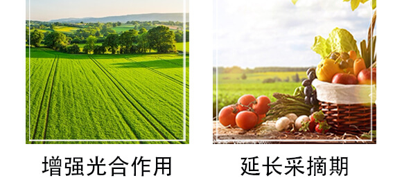 ̼Դ����-���n����_06