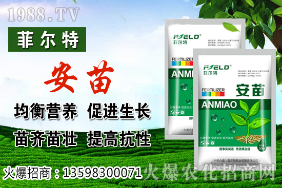 ���\�����L��(du��)�h(hu��n)����Ҫ�������\���Nֲ�����ռ��g(sh��)��