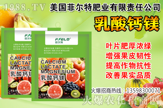 ���Ѳ��պ���α��r�����Ѳ��պ���@ע�����(xi��ng)��