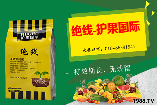 �Ә�(sh��)���L(zh��ng)�l������Щ���Ә�(sh��)����������g(sh��)��