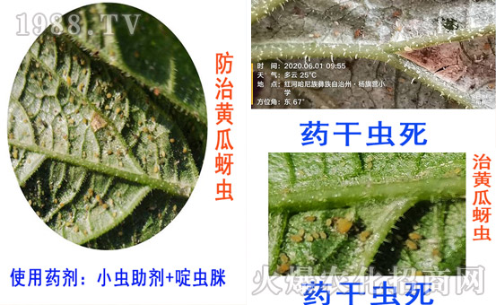     С�x��������-��Ч�S