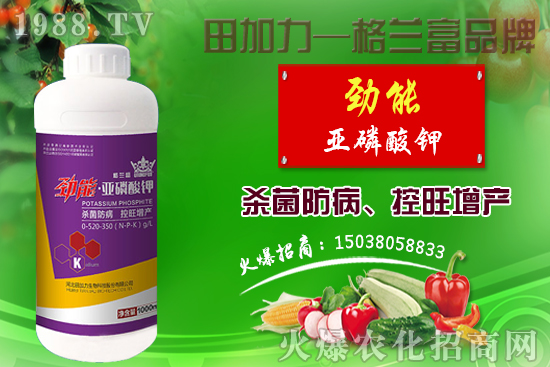 �޻������������ʩ�����޻�������Լ�ʩ��ԭ�t��