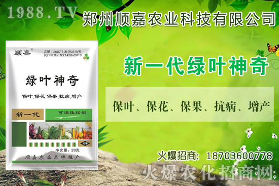 С���r���B�B�ϝq���F(xi��n)��һ������X��