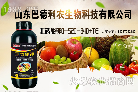 С���r���ܝq�������Xһ�������ֵ؅^(q��)�r��������