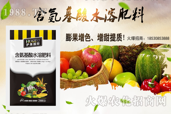 �|���m����ʲô����(ji��)�������|������M(j��n)�зNֲ��