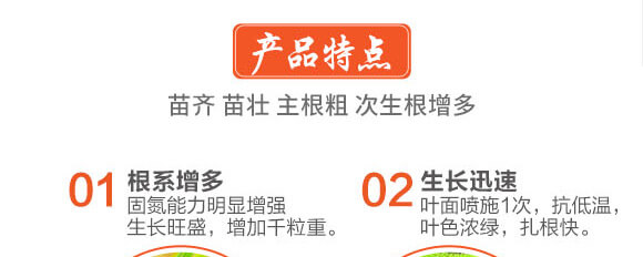 �w������-��ϲ-Ӣ����_03