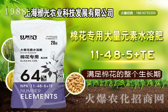 ��ʲô�r(sh��)��Nֲ�������༼�g(sh��)Ҫ�c(di��n)��