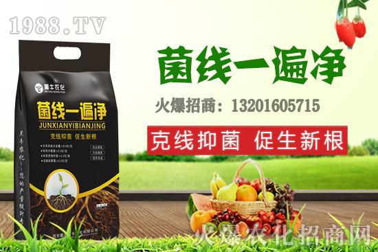 9月19日小麥價(jià)格更新，漲跌互現(xiàn)！