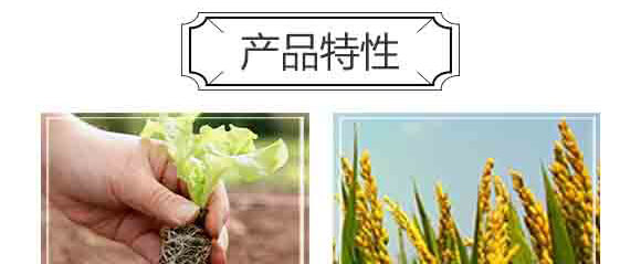 ���S���ЙC(j��)�o�C(j��)���B(t��i)�ʣ����ߌ��ã�-�и���ʢ_04