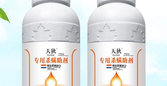 �M�ڌ��Ú�������-���-�����r_02