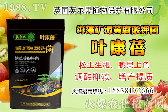 ��ô�Д����׺�ˮ��������������ˮ���й��ж���(j��ng)�(y��n)��