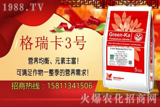 ���Թ���(sh��)�ĺ�̎����Щ�����Թ���(sh��)�˴��P(gu��n)�IҪ�c(di��n)��