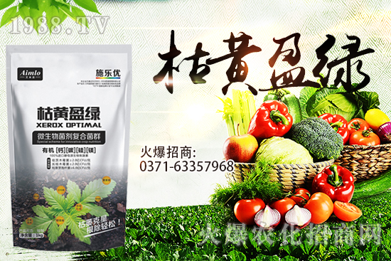 ʮ�¼������������r�ܝq������9��29��С���r���߄ݣ�