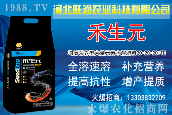 2020�Nֲ���y��ٍ�X�������y�����L�l�����Nֲǰ����