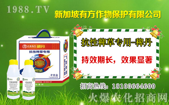 2021��2��17�ձ��ݰ����݄��r(ji��)���߄�