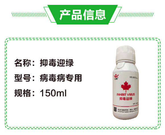 �ֶ�ӭ�G�����β�������-�G��_02