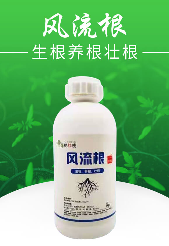 風流根（生根養(yǎng)根壯根）-綠肥_01