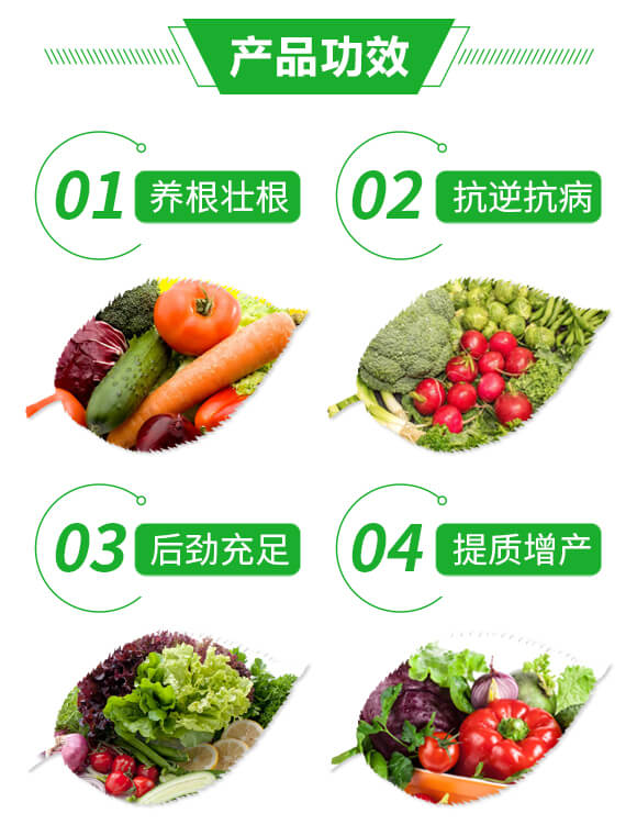 風流根（生根養(yǎng)根壯根）-綠肥_03