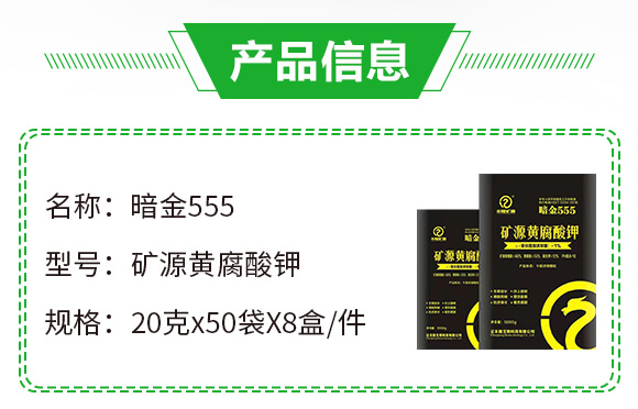 �VԴ�S�����-����555-�|�S¡_02