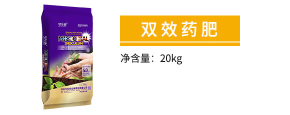 �pЧˎ��-���r(n��ng)_02