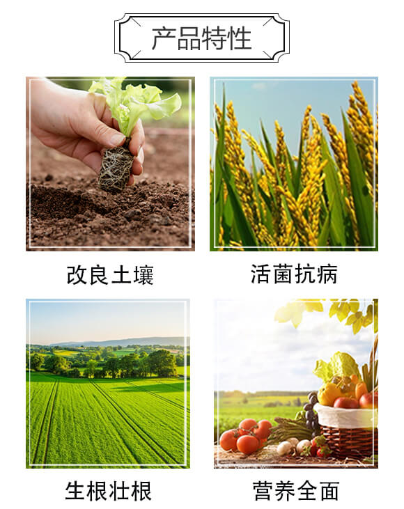 ̼ø΢�������-���r(n��ng)_03