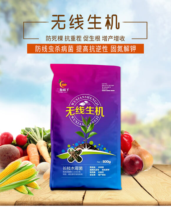 �o�����C(j��)-���w����_01