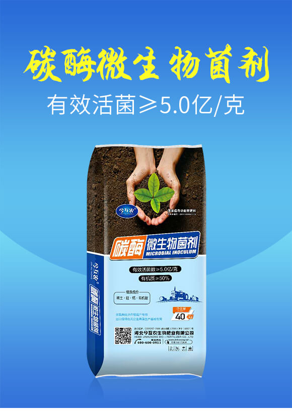 ̼ø΢�������-���r(n��ng)_01