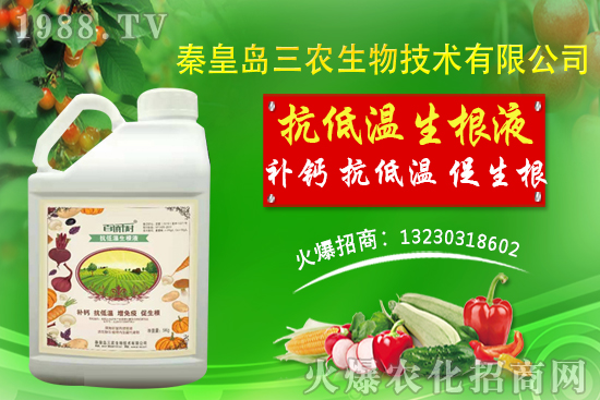 2021��1��30�Շ���(n��i)�󶹬F(xi��n)؛�r(ji��)��