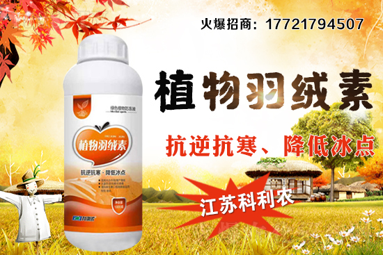 �����׷Nֲ�ܶ���ΰ��գ�������ʩ�ʼ��к��ڹ�����