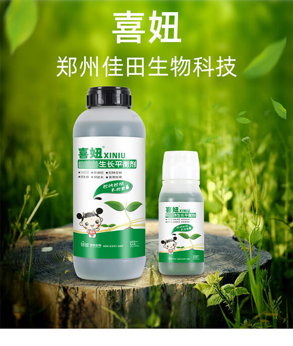 ���I�B(y��ng)���Lƽ�℩-ϲ�-��������_01