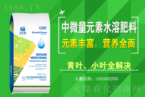 �S����ԓ��ô�Nֲ���S���˷Nֲ�^����ע����Щ���}��