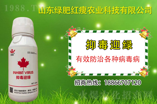 ���β�������Ҳ���ðΣ����ֶ�ӭ�G�����β�������