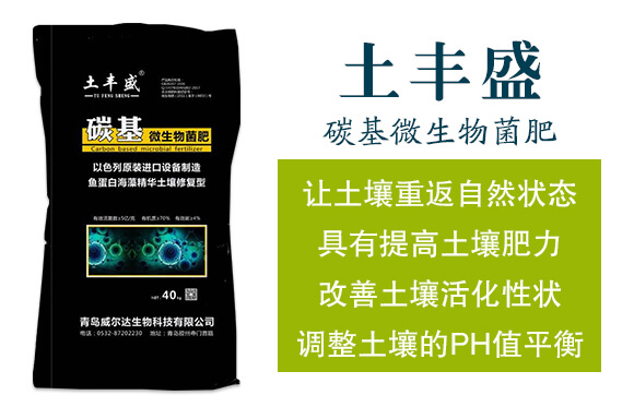 ̼��΢�������-���Sʢ-�����__02