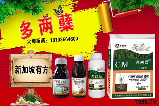 2021�����ַNֲǰ������������ֺ���ͨ�����к΅^(q��)�e��