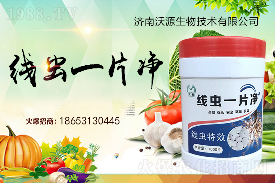 根結(jié)線蟲難防治，專治線蟲“線蟲一片凈”