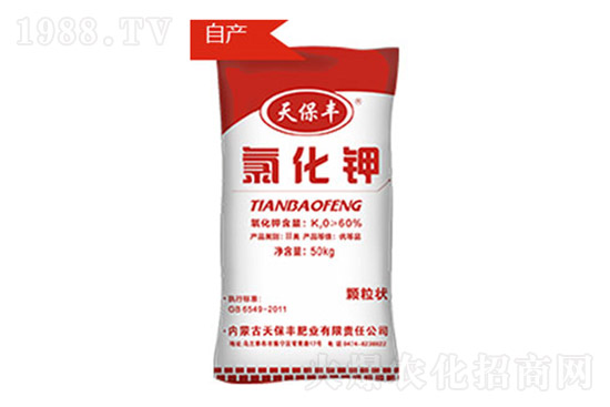 ⛷��߄�ƫ����⛷ʃr�����飨10��14�գ�