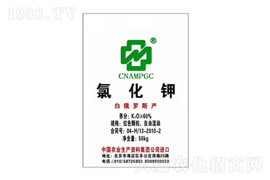 ⛷ʃr(ji��)�����ٝq����10��15�ո���⛷ʃr(ji��)��