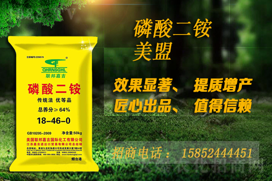 ���@�ǝq߀�ǵ���10��16�����@�r������