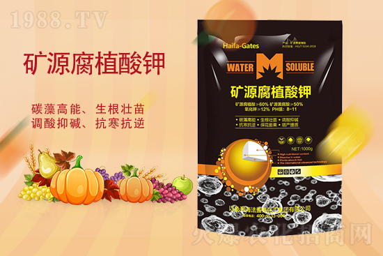 ⛷��Ј�(ch��ng)��(w��n)���Нq��2021��10.23��⛷�����