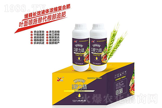 ��(f��)�Ϸ�߀Ҫ�q�����10��26�Տ�(f��)�Ϸʃr(ji��)���߄�(sh��)